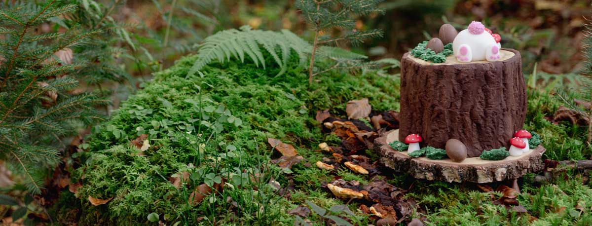 3D Ostertorte in Baumstumpfoptik mit Hasenpopo